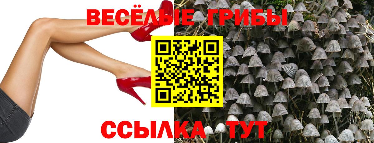 Псилоцибиновые грибы ЛСД Ливны